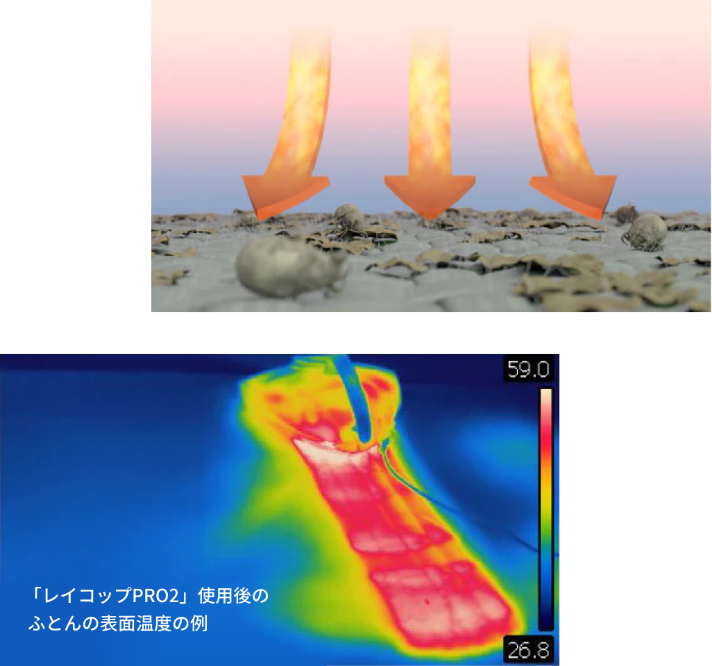 ダニの死滅温度60℃以上