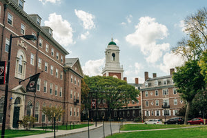 【40代から必見】ハーバード式「老化を防ぐ」5つの食事法とは？