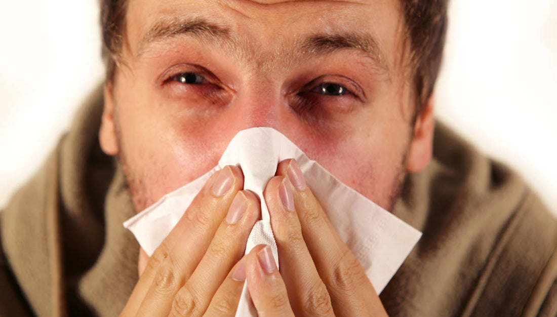 【ドクターズコラム】アレルギー性鼻炎の「三大症状」を ひも解く