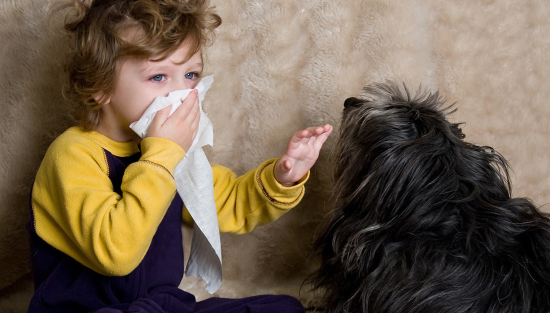 【ドクターズコラム】ペットを飼っている人がアレルギー性鼻炎の場合にできること