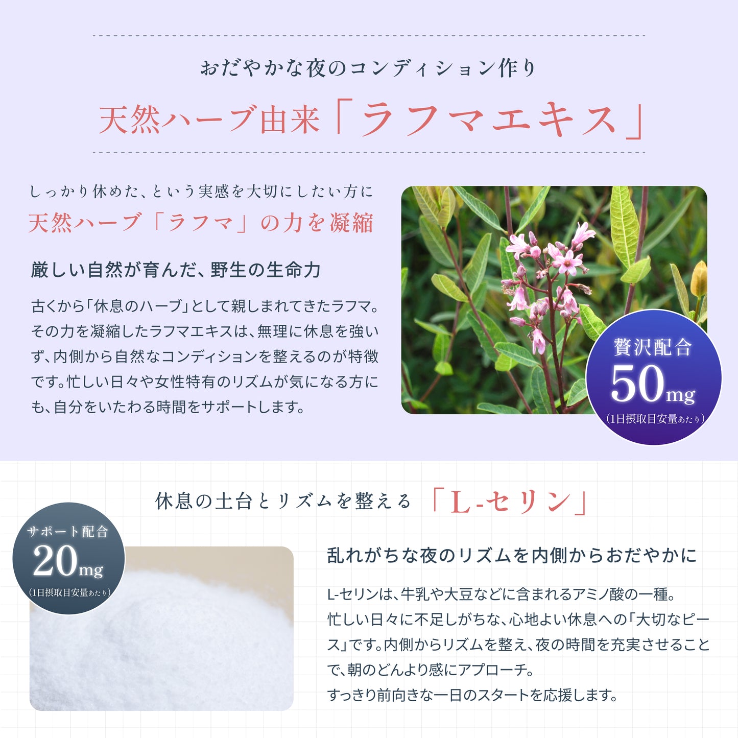 「ナイトリセットプログラム」セット（RS5＋グッドナイト）】コードレスUVふとんクリーナー レイコップ RS5（RS5-100）＋Dr.MiCHAELサプリメント グッドナイト