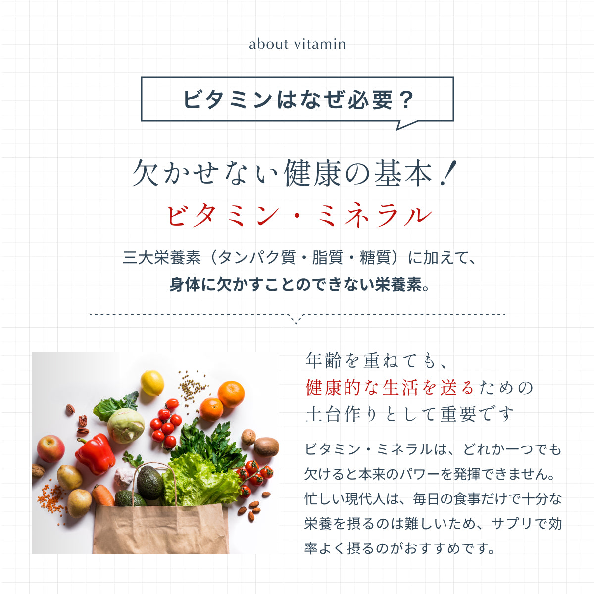 【期間・数量限定】【デイリーウェルネスセット（MOBI＋オプティマムビタミン）】レイコップ ハンディクリーナー Mobi (モビー）RMC-100＋ドクターマイケル サプリメント オプティマムビタミン